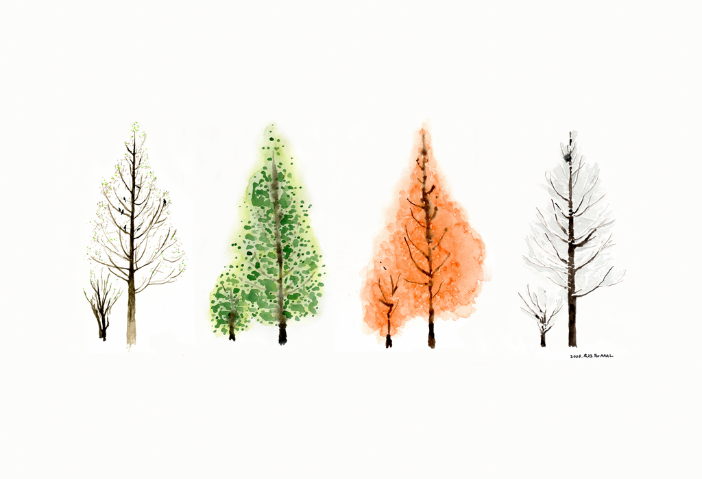 Four Seasons of a Tree