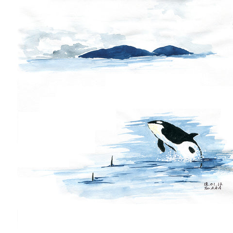 Orca in the Ocean
